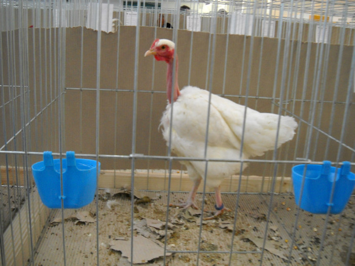 DSCN3653