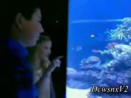 Disney Channel Special Look - Finding Nemo 3D 0528