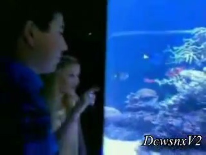 Disney Channel Special Look - Finding Nemo 3D 0529
