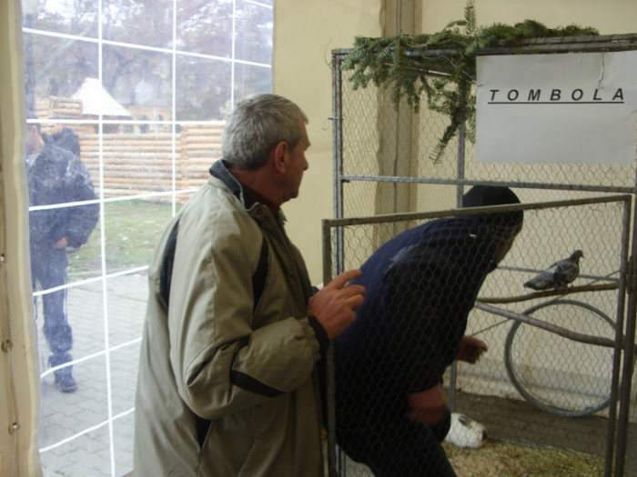 SDC14506 - a   expo bistrita 21-25 noiembrie 2012