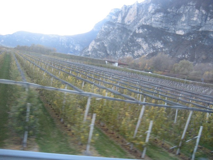 IMG_5629 - excursie 2012