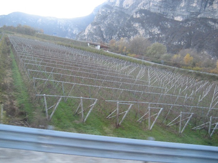 IMG_5630 - excursie 2012