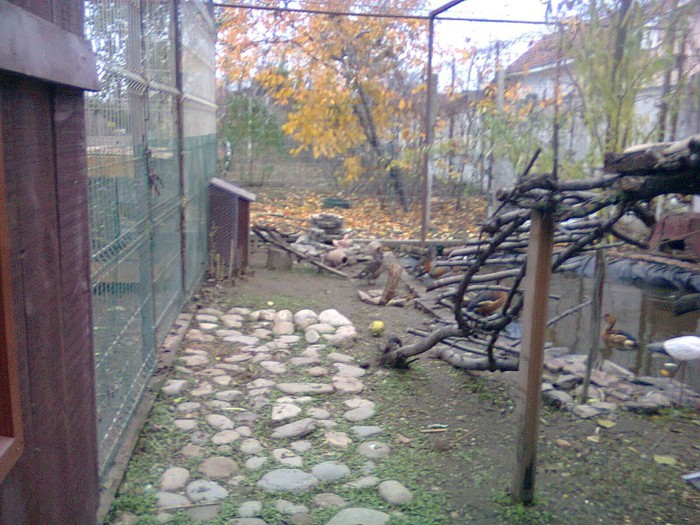vine iarna.....!!!