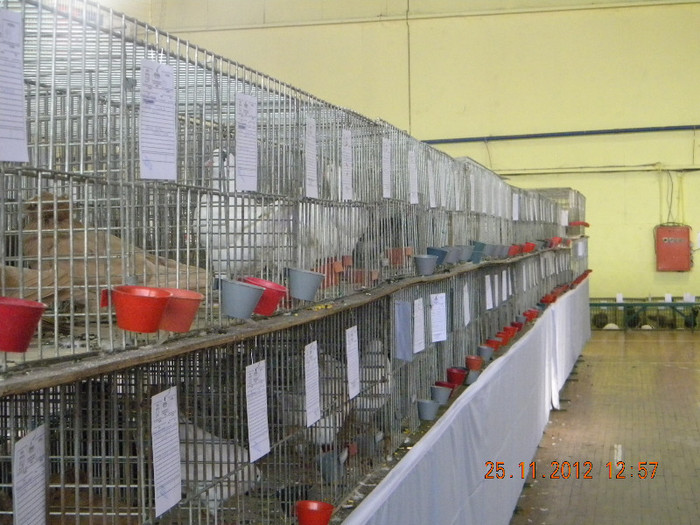 DSCN3029 - Expozitie Zrenianin 2012