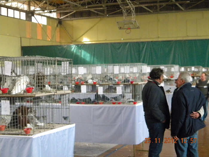 DSCN3031 - Expozitie Zrenianin 2012