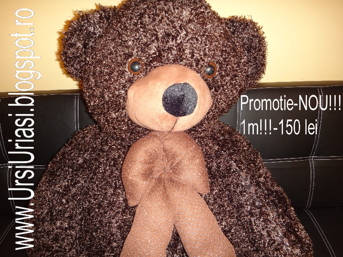 mic2 - Ursi Uriasi Modele Noi 2012