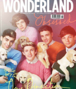 83192111_SUYZRDN3 - one direction puppy golden retriver