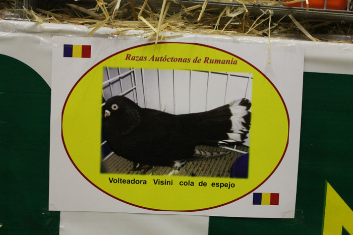 IMG_5814 - expo  Salamanca  2012