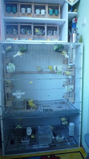 din una pot face doua