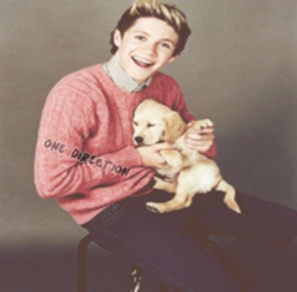 82781162_DGHGQDB3 - one direction puppy golden retriver