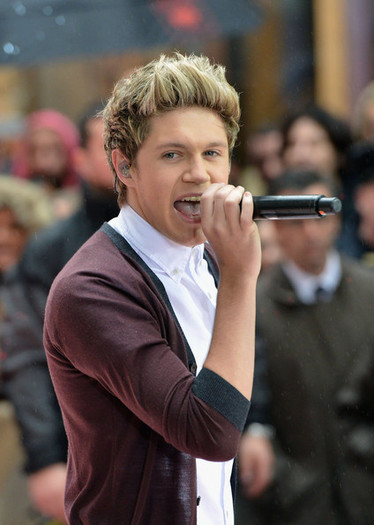 Niall Horan One Direction Performs NBC Today ibIizxj5L5wl - 1D concert today show