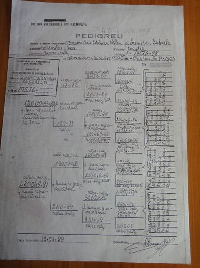 PEDIGREE - BRICOUX - PEDIGREE