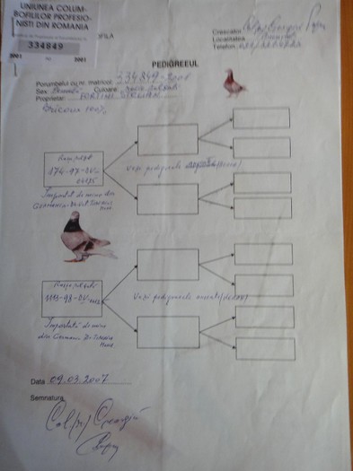 PEDIGREE - BRICOUX - PEDIGREE