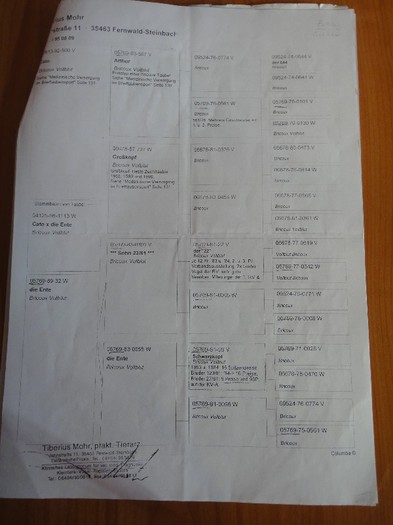 PEDIGREE - BRICOUX - PEDIGREE