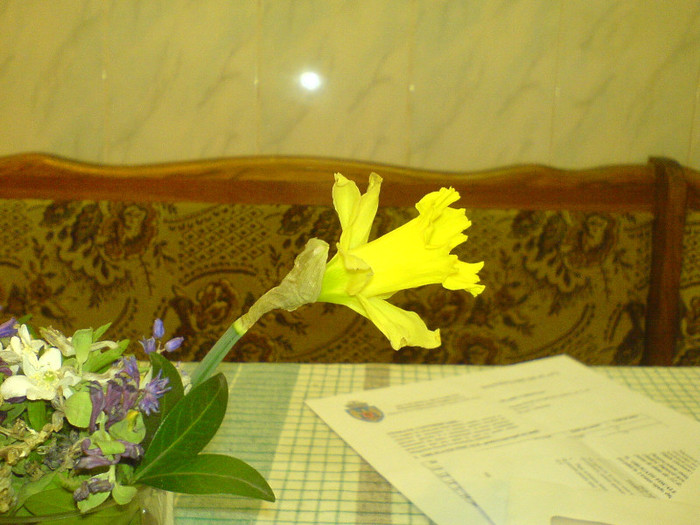 DSC00781 - Aranjamente florale si Terrarium