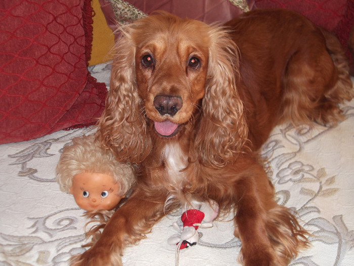 Alte  , film pe Mures, 12. aug 2o12 001