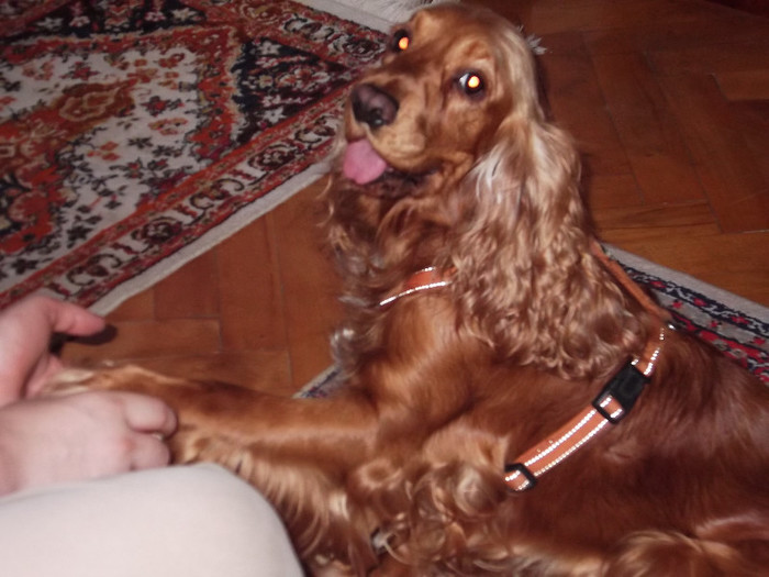 Picture  balcon and BOGY 18 iul 12 006