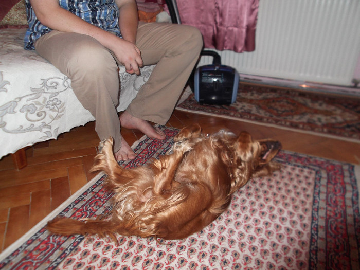 Picture  balcon and BOGY 18 iul 12 009