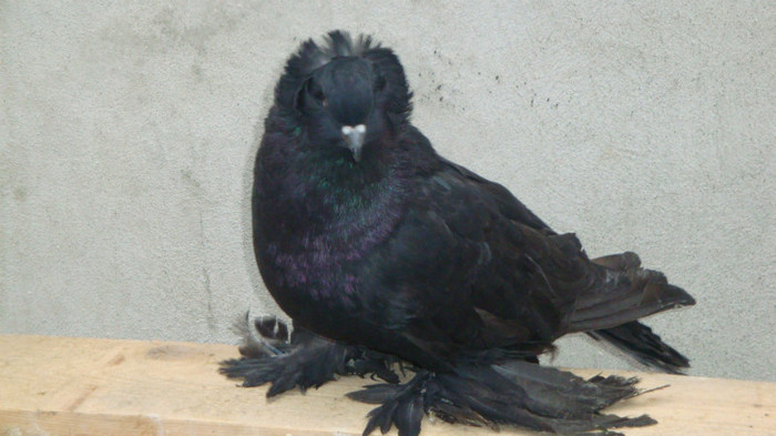 DSC00508