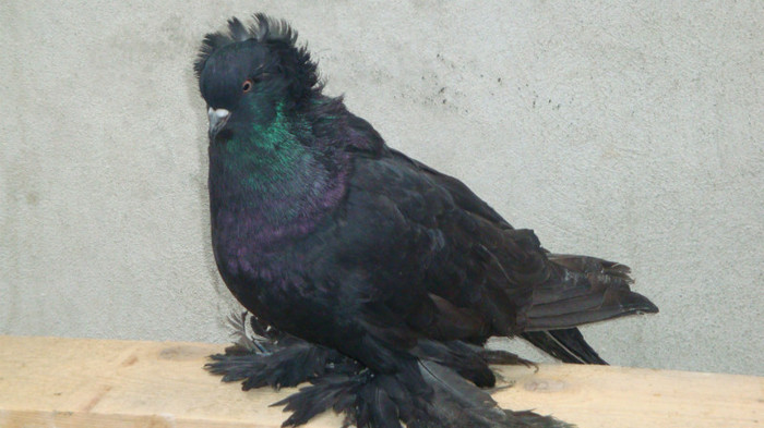DSC00507