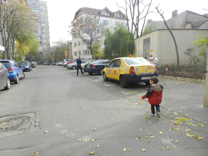 GATA,A VENIT TAXIUL