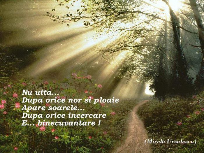 292246_189646081161605_62143792_n - PENTRU MINE SI TINE