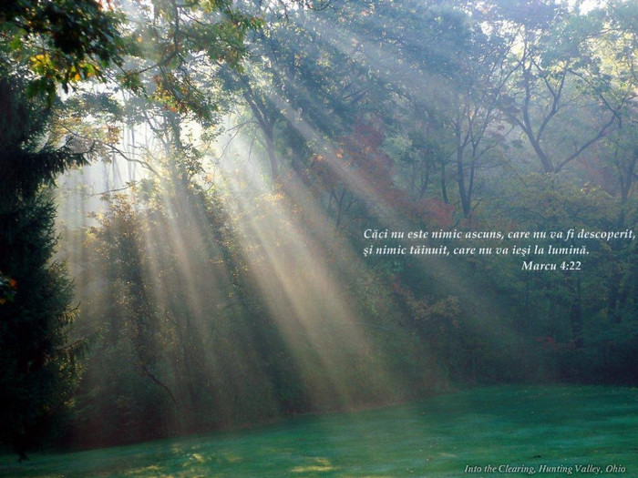 334415_453722394680382_1170922178_o - PENTRU MINE SI TINE