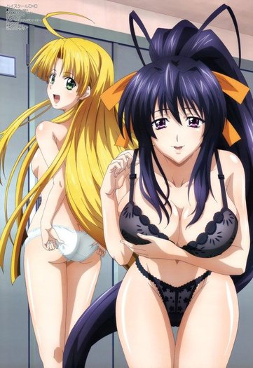 tumblr_mbph88fLgv1riu78lo1_500 - High school DxD