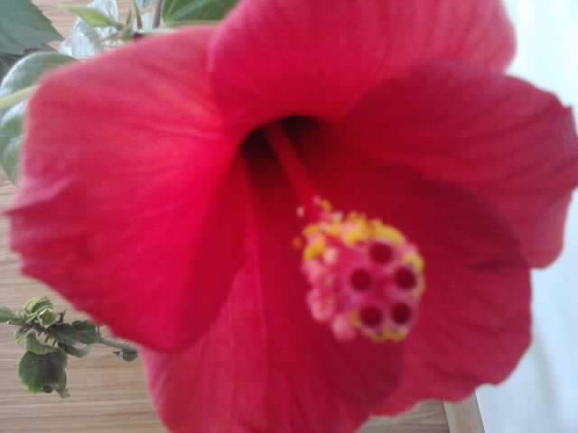 P031012_22.58_[05]