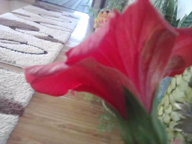 P031012_23.12