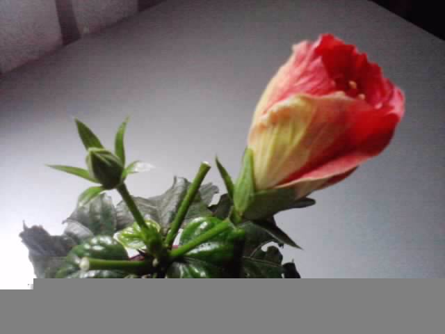 P041012_01.57_[01]