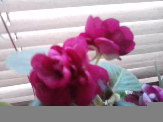 P051012_07.50_[03]