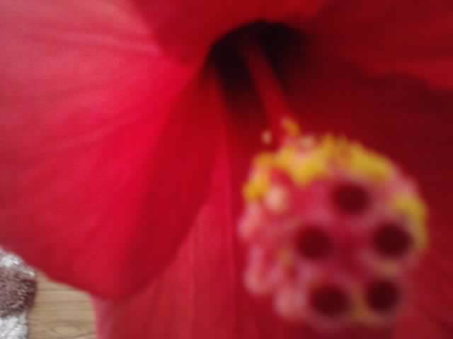 P081112_02.20_[04]