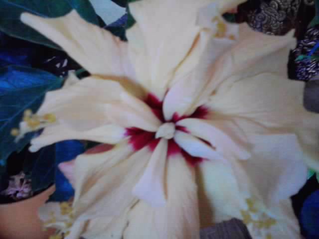 P301012_23.22_[02]