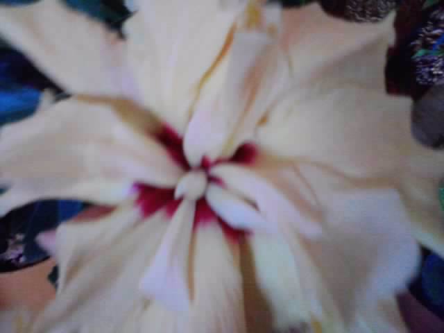 P301012_23.22_[03]