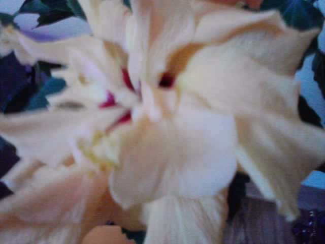 P301012_23.22_[04]