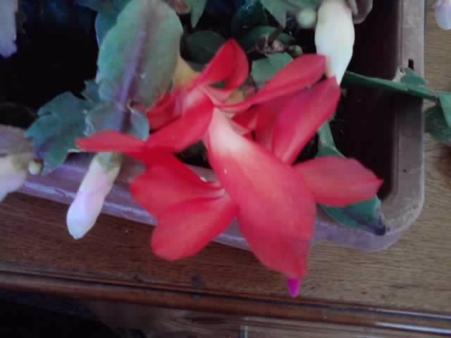 P311012_03.33_[03]