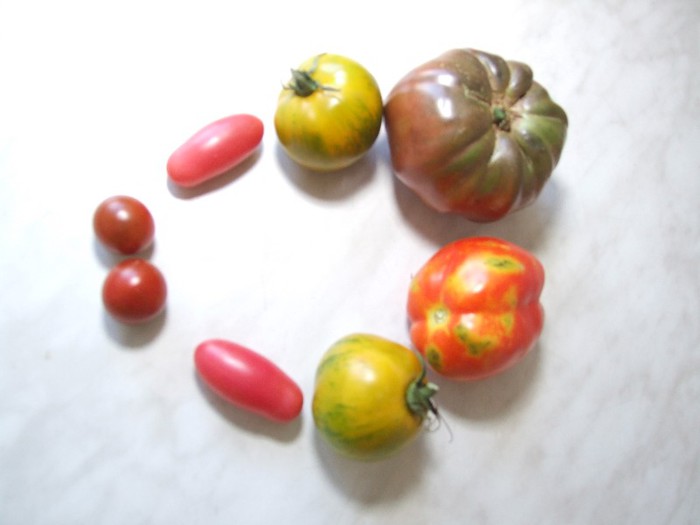 Tomate - De vanzare diferite seminte