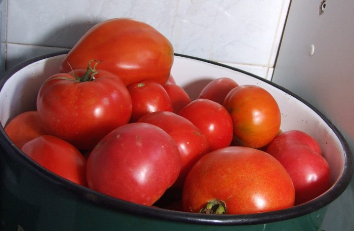 Tomate_recolta 01 Septembrie 2012 (9) - De vanzare diferite seminte