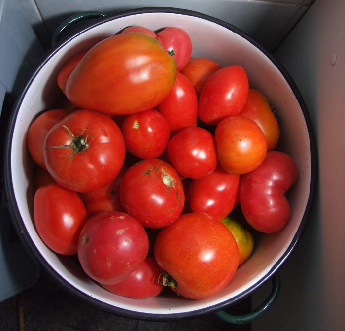 Tomate_recolta 01 Septembrie 2012 (10) - De vanzare diferite seminte