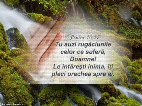 15996_383925438359992_2019150273_n