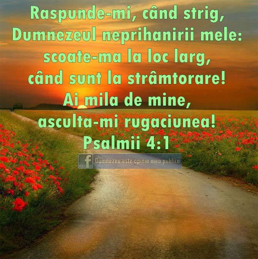 16072_448203178580248_1871983003_n