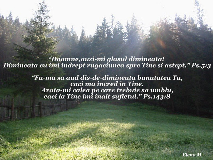 255071_383423441743525_1530047165_n