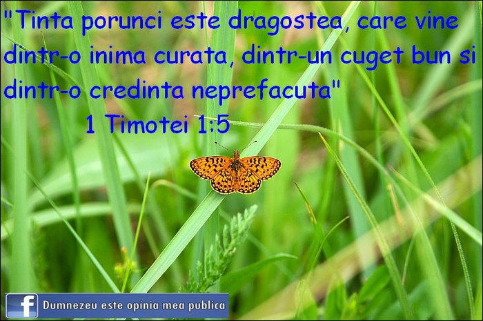 399189_448189228581643_619584141_n