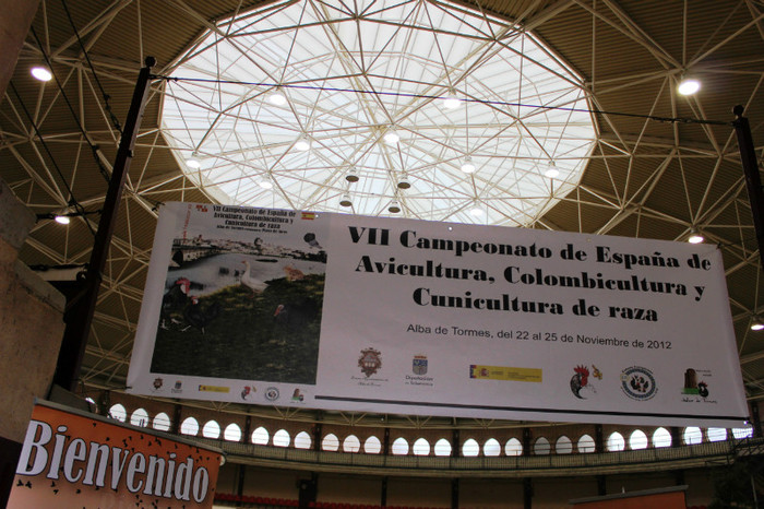 IMG_6124 - expo Salamanca 2012