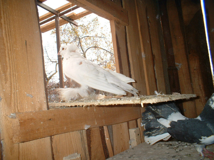 DSCF0026