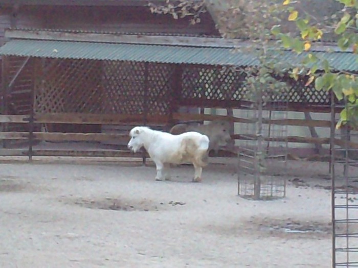 P231012_17.070001 - ZOO Bucuresti Setembrie 2012