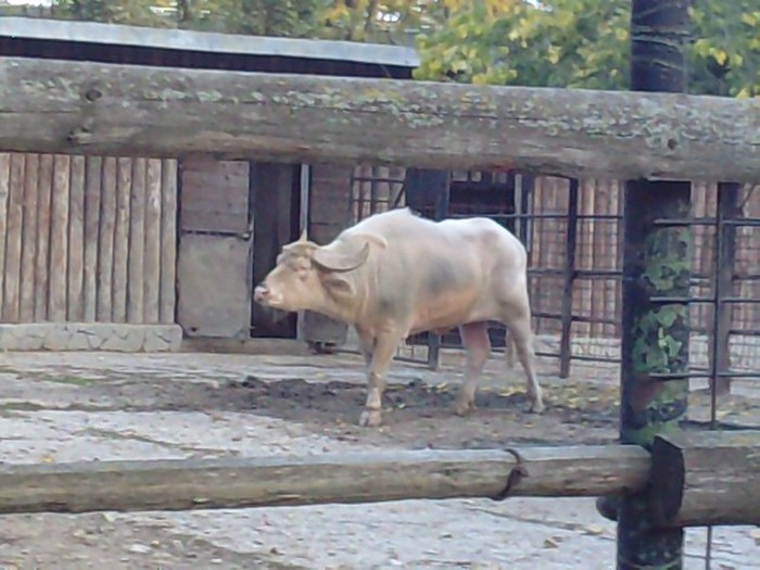 P231012_17.250001
