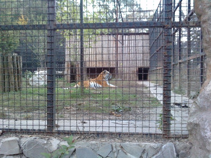 P231012_18.040001 - ZOO Bucuresti Setembrie 2012