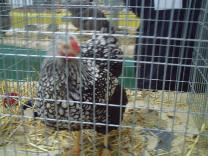 PICT0240